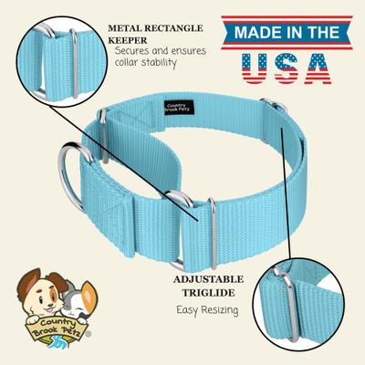 Show full view: Country Brook Petz HossFit Jr Wide Training Martingale Dog Collar, Ocean Blue, Medium: 15 to 21-in neck, 1.5-in wide slide 7 of 8