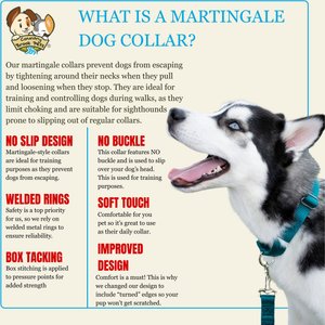 Country Brook Petz HossFit Jr Wide Training Martingale Dog Collar, Teal, Medium: 15 to 21-in neck, 1.5-in wide