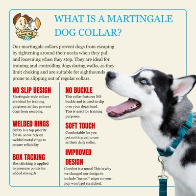 Show full view: Country Brook Petz HossFit Jr Wide Training Martingale Dog Collar, Light Cyan, Medium: 15 to 21-in neck, 1.5-in wide slide 5 of 8