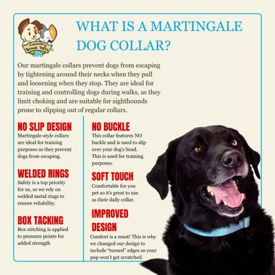 Show full view: Country Brook Petz HossFit Jr Wide Training Martingale Dog Collar, Ocean Blue, Medium: 15 to 21-in neck, 1.5-in wide slide 5 of 8