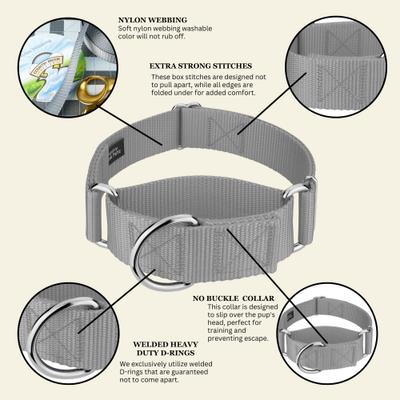 Show full view: Country Brook Petz HossFit Jr Wide Training Martingale Dog Collar, Silver, Large: 18 to 26-in neck, 1.5-in wide slide 6 of 8