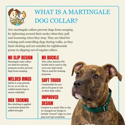 Show full view: Country Brook Petz HossFit Jr Wide Training Martingale Dog Collar, Green, Medium: 15 to 21-in neck, 1.5-in wide slide 5 of 8