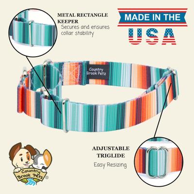 Show full view: Country Brook Petz Sedona Stripes Martingale Dog Collar, Medium: 15 to 21-in neck, 1-in wide slide 7 of 8
