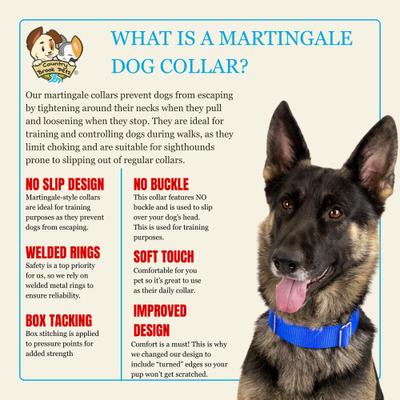 Show full view: Country Brook Petz HossFit Jr Wide Training Martingale Dog Collar, Royal Blue, Large: 18 to 26-in neck, 1.5-in wide slide 5 of 8