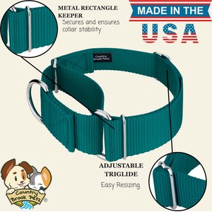 Country Brook Petz HossFit Jr Wide Training Martingale Dog Collar, Teal, Medium: 15 to 21-in neck, 1.5-in wide
