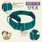 Show in main carousel: Country Brook Petz HossFit Jr Wide Training Martingale Dog Collar, Teal, Medium: 15 to 21-in neck, 1.5-in wide slide 7 of 8