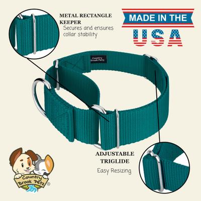 Show full view: Country Brook Petz HossFit Jr Wide Training Martingale Dog Collar, Teal, Medium: 15 to 21-in neck, 1.5-in wide slide 7 of 8