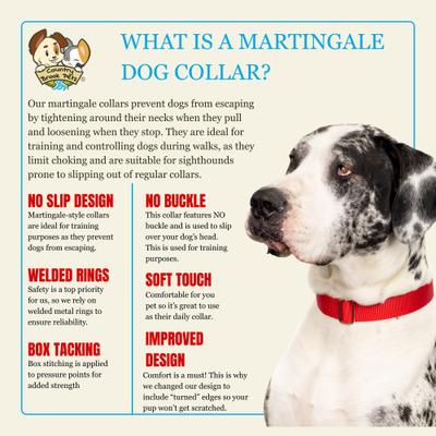 Show full view: Country Brook Petz HossFit Jr Wide Training Martingale Dog Collar, Red, Medium: 15 to 21-in neck, 1.5-in wide slide 5 of 8