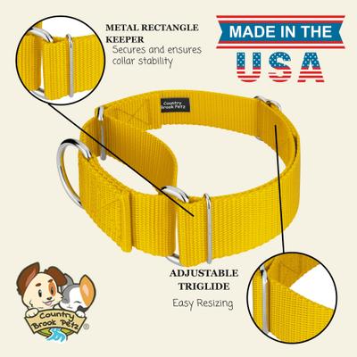 Show full view: Country Brook Petz HossFit Jr Wide Training Martingale Dog Collar, Gold, Medium: 15 to 21-in neck, 1.5-in wide slide 7 of 8