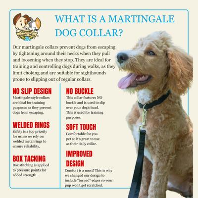 Show full view: Country Brook Petz HossFit Jr Wide Training Martingale Dog Collar, Silver, Large: 18 to 26-in neck, 1.5-in wide slide 5 of 8