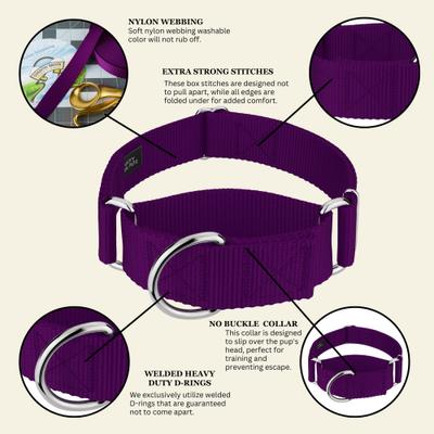 Show full view: Country Brook Petz HossFit Jr Wide Training Martingale Dog Collar, Purple, Large: 18 to 26-in neck, 1.5-in wide slide 6 of 8