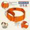 Show in main carousel: Country Brook Petz HossFit Jr Wide Training Martingale Dog Collar, Orange, Medium: 15 to 21-in neck, 1.5-in wide slide 7 of 8