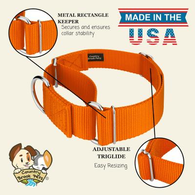 Show full view: Country Brook Petz HossFit Jr Wide Training Martingale Dog Collar, Orange, Medium: 15 to 21-in neck, 1.5-in wide slide 7 of 8