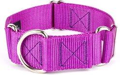 Country Brook Petz HossFit Jr Wide Training Martingale Dog Collar, Bright Purple, Large: 18 to 26-in neck, 1.5-in wide