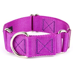 Country Brook Petz HossFit Jr Wide Training Martingale Dog Collar, Bright Purple, Medium: 15 to 21-in neck, 1.5-in wide