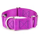 Country Brook Petz HossFit Jr Wide Training Martingale Dog Collar, Bright Purple, Medium: 15 to 21-in neck, 1.5-in wide