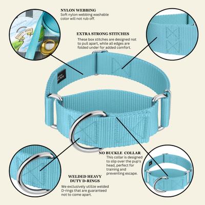 Show full view: Country Brook Petz HossFit Jr Wide Training Martingale Dog Collar, Ocean Blue, Medium: 15 to 21-in neck, 1.5-in wide slide 6 of 8