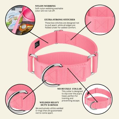Show full view: Country Brook Petz HossFit Jr Wide Training Martingale Dog Collar, Pink, Large: 18 to 26-in neck, 1.5-in wide slide 7 of 9