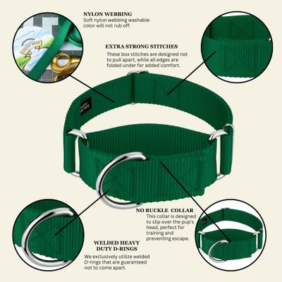 Show full view: Country Brook Petz HossFit Jr Wide Training Martingale Dog Collar, Green, Medium: 15 to 21-in neck, 1.5-in wide slide 6 of 8