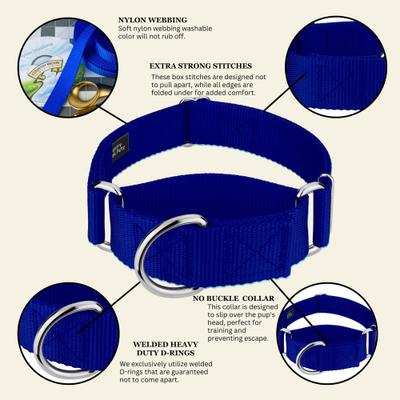 Show full view: Country Brook Petz HossFit Jr Wide Training Martingale Dog Collar, Royal Blue, Large: 18 to 26-in neck, 1.5-in wide slide 6 of 8