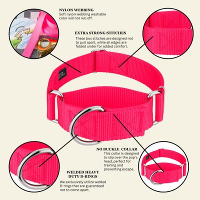 Show full view: Country Brook Petz HossFit Jr Wide Training Martingale Dog Collar, Hot Pink, Large: 18 to 26-in neck, 1.5-in wide slide 6 of 9