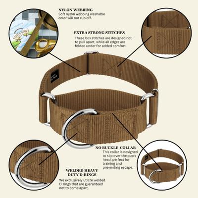 Show full view: Country Brook Petz HossFit Jr Wide Training Martingale Dog Collar, Coyote Tan, Medium: 15 to 21-in neck, 1.5-in wide slide 6 of 8