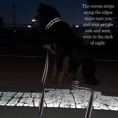 Show full view: Country Brook Petz HossFit Jr Thin Blue Line Wide Reflective Martingale Dog Collar, Medium: 15 to 21-in neck, 1.5-in wide slide 3 of 10