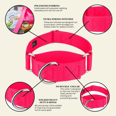 Show full view: Country Brook Petz HossFit Jr Wide Training Martingale Dog Collar, Hot Pink, Large: 18 to 26-in neck, 1.5-in wide slide 7 of 9