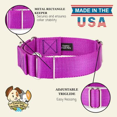 Show full view: Country Brook Petz HossFit Jr Wide Training Martingale Dog Collar, Bright Purple, Medium: 15 to 21-in neck, 1.5-in wide slide 7 of 8