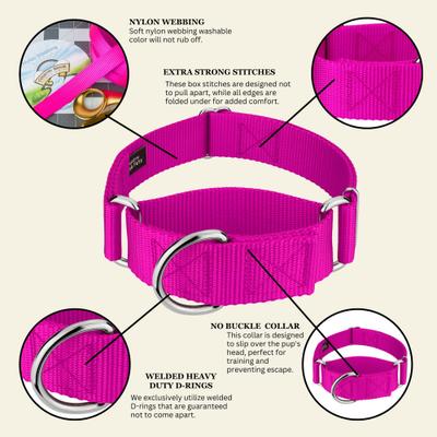 Show full view: Country Brook Petz HossFit Jr Wide Training Martingale Dog Collar, Fuchsia, Medium: 15 to 21-in neck, 1.5-in wide slide 7 of 9