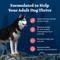 Show in main carousel: Blue Buffalo Wilderness Variety Pack: Salmon Recipe Adult High-Protein Grain-Free Dry Food, 24-lb bag + Salmon & Chicken High-Protein Grain-Free Adult Canned Food, 12.5-oz, case of 12 + Trail Treats Grain-Free Salmon Biscuits Dog Treats, 24-oz bag slide 4 of 9