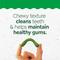 Show in main carousel: Puppy Variety Pack: Greenies Petite Dental Treats, 20 count + Nutro Ultra Adult Small Breed High Protein Trio of Proteins Chicken, Lamb & Salmon Dry Food, 3.5-lb bag + Greenies Digestive Health Sensitive Care Peanut Butter Flavor Supplement fors, 40 count slide 4 of 9