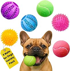 Pacific Pups Rescue Ball Dog Toy Variety Pack, 6 count