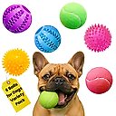 Pacific Pups Rescue Ball Dog Toy Variety Pack, 6 count