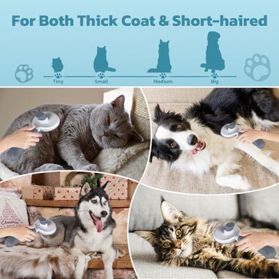 Show full view: Yafylly Short & Long Haired Detangling Cat Brush, Gray, Small slide 8 of 10