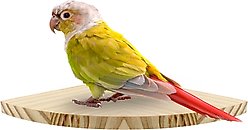 KNUTI Bird Cage Corner Perch Platform, Wood, Large