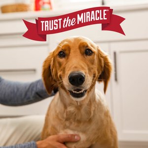 Nature's Miracle Advanced Pet Stain & Odor Eliminator, 64-fl oz
