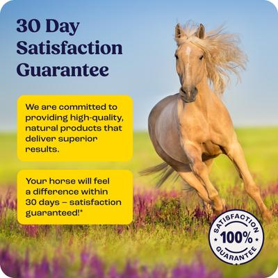 Show full view: Summit Animal Health Hoof Strength Powder Horse Hoof Supplement, 9.1-oz jar slide 9 of 10