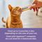 Show in main carousel: Applaws Variety Puree Selection Lickable Cat Treats, 0.5-oz tube, 60 count slide 7 of 9