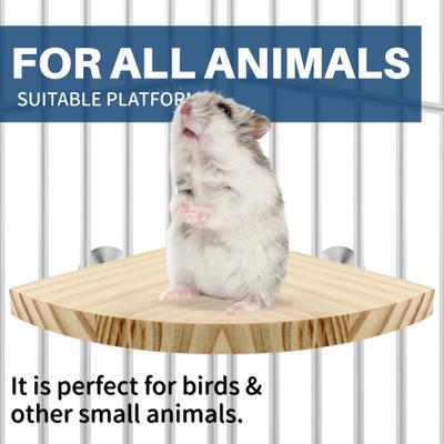 Show full view: KNUTI Bird Cage Corner Perch Platform, Wood, Small slide 7 of 8