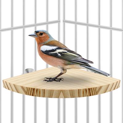 Show full view: KNUTI Bird Cage Corner Perch Platform, Wood, Small slide 8 of 8