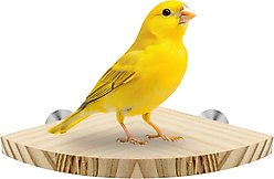 KNUTI Bird Cage Corner Perch Platform, Wood, Small