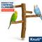 Show in main carousel: KNUTI Hanging Natural Wood Bird Perch with 4 Branches, Wood, Medium slide 8 of 9