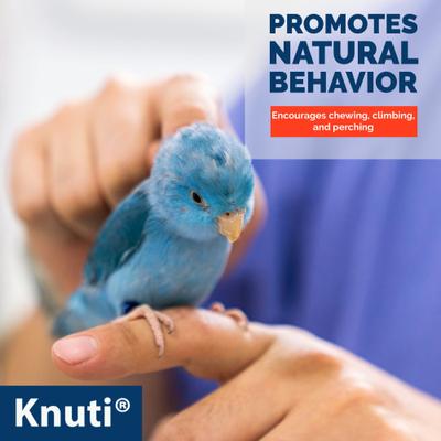 Show full view: KNUTI Hanging Natural Wood Bird Perch with 4 Branches, Wood, Medium slide 4 of 9