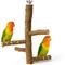 Show in main carousel: KNUTI Hanging Natural Wood Bird Perch with 4 Branches, Wood, Medium slide 1 of 9