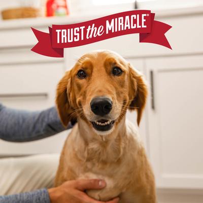 Show full view: Nature's Miracle Pet Urine Destroyer Plus, 64-oz slide 9 of 9