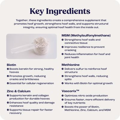 Show full view: Summit Animal Health Hoof Strength Powder Horse Hoof Supplement, 9.1-oz jar slide 3 of 10