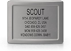 DOG iD Laser Engraved Stainless Steel Silent Personalized Dog ID Tag, Slate, 1-in
