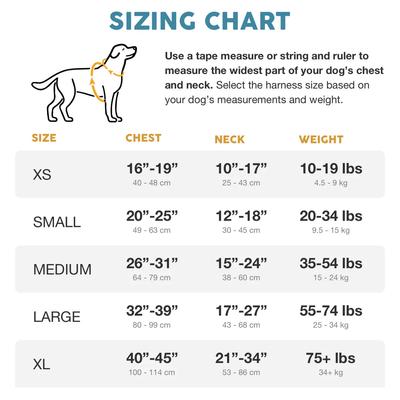 Show full view: Embark Harness Co. Adventure No Pull Dog Harness, Aurora, Medium slide 4 of 11