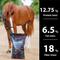 Show in main carousel: Keyflow Feeds Maestro Low Sugar & High Fat Horse Feed, 33-lb bag slide 4 of 6